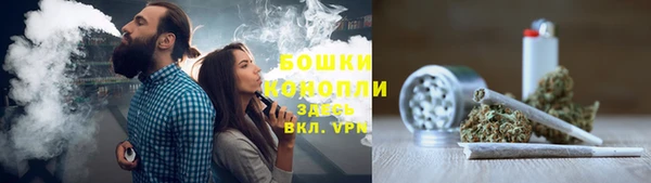 PSILOCYBIN Козловка