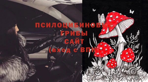 apvp Корсаков