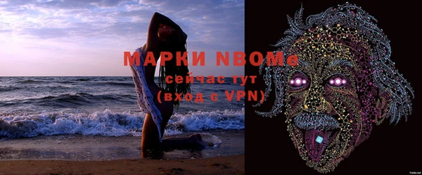гашик Коряжма