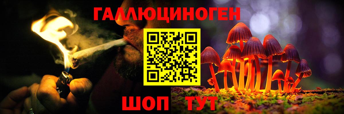 Псилоцибиновые грибы GOLDEN TEACHER Кохма