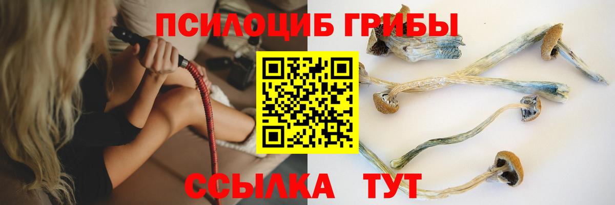 Кохма  Галлюциногенные грибы Psilocybine cubensis  Вход с VPN 