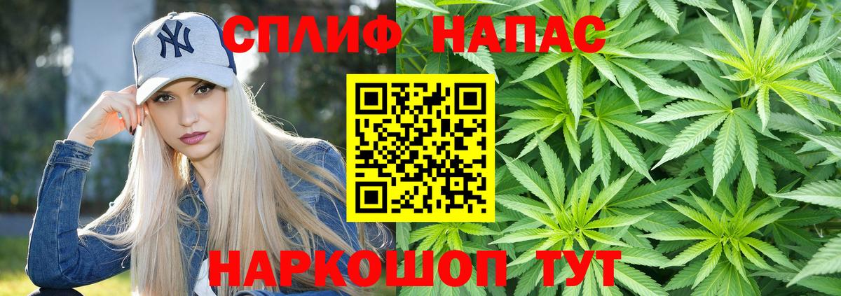 МАРИХУАНА SATIVA & INDICA  Шишки марихуана гибрид  Кохма  Шишки марихуана план  Вход с VPN 
